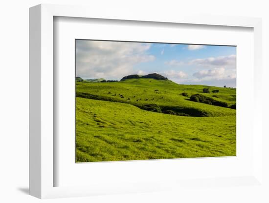 Green grass pasture land near Waimea, Big Island, Hawaii-Mark A Johnson-Framed Photographic Print