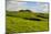Green grass pasture land near Waimea, Big Island, Hawaii-Mark A Johnson-Mounted Photographic Print
