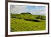 Green grass pasture land near Waimea, Big Island, Hawaii-Mark A Johnson-Framed Photographic Print