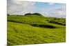 Green grass pasture land near Waimea, Big Island, Hawaii-Mark A Johnson-Mounted Photographic Print