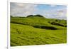 Green grass pasture land near Waimea, Big Island, Hawaii-Mark A Johnson-Framed Photographic Print