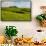 Green grass pasture land near Waimea, Big Island, Hawaii-Mark A Johnson-Framed Stretched Canvas displayed on a wall