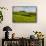 Green grass pasture land near Waimea, Big Island, Hawaii-Mark A Johnson-Framed Stretched Canvas displayed on a wall