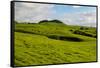 Green grass pasture land near Waimea, Big Island, Hawaii-Mark A Johnson-Framed Stretched Canvas