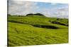 Green grass pasture land near Waimea, Big Island, Hawaii-Mark A Johnson-Stretched Canvas