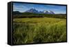 Green Grass, Torres Del Paine National Park, Patagonia, Chile, South America-Michael Runkel-Framed Stretched Canvas