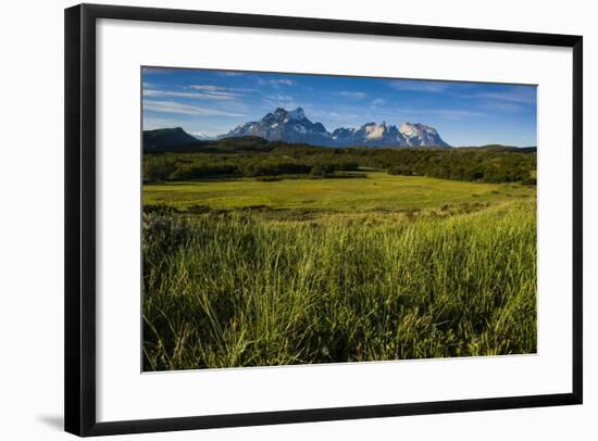 Green Grass, Torres Del Paine National Park, Patagonia, Chile, South America-Michael Runkel-Framed Photographic Print