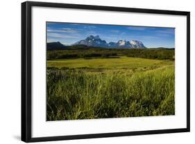 Green Grass, Torres Del Paine National Park, Patagonia, Chile, South America-Michael Runkel-Framed Photographic Print