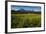 Green Grass, Torres Del Paine National Park, Patagonia, Chile, South America-Michael Runkel-Framed Photographic Print