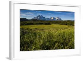 Green Grass, Torres Del Paine National Park, Patagonia, Chile, South America-Michael Runkel-Framed Photographic Print
