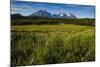 Green Grass, Torres Del Paine National Park, Patagonia, Chile, South America-Michael Runkel-Mounted Photographic Print