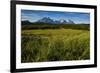 Green Grass, Torres Del Paine National Park, Patagonia, Chile, South America-Michael Runkel-Framed Photographic Print