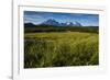 Green Grass, Torres Del Paine National Park, Patagonia, Chile, South America-Michael Runkel-Framed Photographic Print