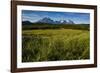 Green Grass, Torres Del Paine National Park, Patagonia, Chile, South America-Michael Runkel-Framed Photographic Print