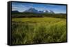 Green Grass, Torres Del Paine National Park, Patagonia, Chile, South America-Michael Runkel-Framed Stretched Canvas