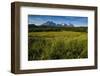 Green Grass, Torres Del Paine National Park, Patagonia, Chile, South America-Michael Runkel-Framed Photographic Print