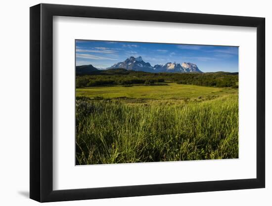 Green Grass, Torres Del Paine National Park, Patagonia, Chile, South America-Michael Runkel-Framed Photographic Print