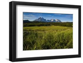 Green Grass, Torres Del Paine National Park, Patagonia, Chile, South America-Michael Runkel-Framed Photographic Print