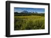 Green Grass, Torres Del Paine National Park, Patagonia, Chile, South America-Michael Runkel-Framed Photographic Print