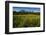 Green Grass, Torres Del Paine National Park, Patagonia, Chile, South America-Michael Runkel-Framed Photographic Print