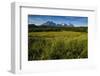 Green Grass, Torres Del Paine National Park, Patagonia, Chile, South America-Michael Runkel-Framed Photographic Print