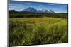 Green Grass, Torres Del Paine National Park, Patagonia, Chile, South America-Michael Runkel-Mounted Photographic Print