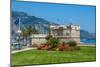 Green Grass with Flowers on Promenade and Medieval Fortress in Menton, France.-rglinsky-Mounted Photographic Print