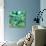 Green Growth-rose lascelles-Stretched Canvas displayed on a wall