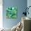 Green Growth-rose lascelles-Giclee Print displayed on a wall