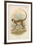 Green Guenon-null-Framed Giclee Print