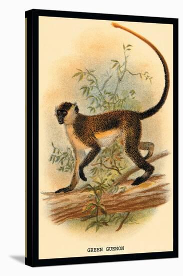 Green Guenon-G.r. Waterhouse-Stretched Canvas