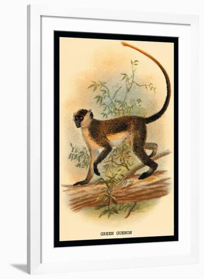 Green Guenon-G.r. Waterhouse-Framed Art Print