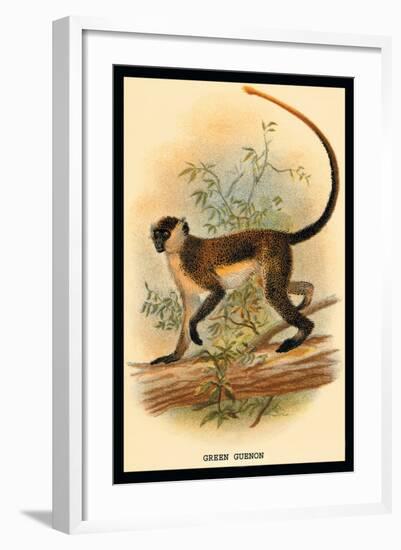 Green Guenon-G.r. Waterhouse-Framed Art Print