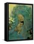 Green Haired Lady-Vintage Apple Collection-Framed Stretched Canvas