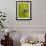 Green Heron, Florida, USA-Cathy & Gordon Illg-Framed Photographic Print displayed on a wall