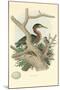 Green Heron Nest and Eggs-null-Mounted Art Print