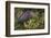 Green heron nesting, South Padre Island, Texas-Adam Jones-Framed Photographic Print