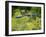 Green Heron-Gary Carter-Framed Photographic Print