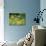 Green Heron-Gary Carter-Photographic Print displayed on a wall