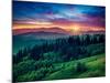 Green Hills Glowing by Warm Sunlight at Twilight. Dramatic Scene. Colorful Sky, Red Clouds. Carpath-Leonid Tit-Mounted Photographic Print