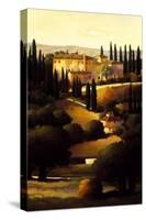 Green Hills of Tuscany I-Max Hayslette-Stretched Canvas