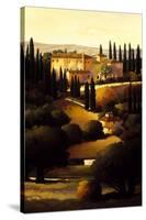 Green Hills of Tuscany I-Max Hayslette-Stretched Canvas