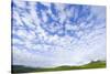 Green Hills under Cumulus Clouds in Canada-Momatiuk - Eastcott-Stretched Canvas