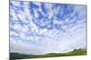 Green Hills under Cumulus Clouds in Canada-Momatiuk - Eastcott-Mounted Photographic Print