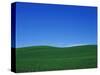 Green Hills-Bill Ross-Stretched Canvas