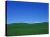 Green Hills-Bill Ross-Stretched Canvas