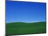 Green Hills-Bill Ross-Mounted Photographic Print