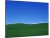 Green Hills-Bill Ross-Stretched Canvas