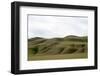 Green hills-Natalie Tepper-Framed Photo