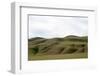 Green hills-Natalie Tepper-Framed Photo